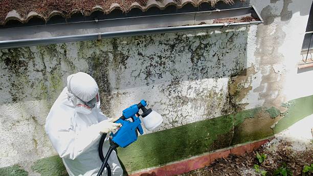 Top rated local Mold Remediation specialists in Fannettsburg, PA